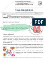 Taller Ciencias Naturales Septimo 3 Sistema Endocrino I