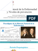 Historia Natural de La Enfermedad y Niveles de