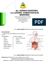 Sistema Digestório