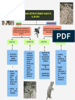 Gráfico de Mapa Conceptual Ordenado en Forma de Árbol Multicolor