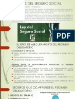 Regimenes y Seguros Del Seguro Social