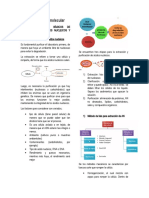 Biotecnología Molecular Apuntes ISI