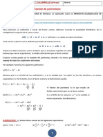 Teoría y Ejercicios de Factorización