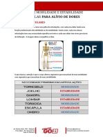 Apostila Curso Mobilidade e Estabilidade - Rodrigo Zago