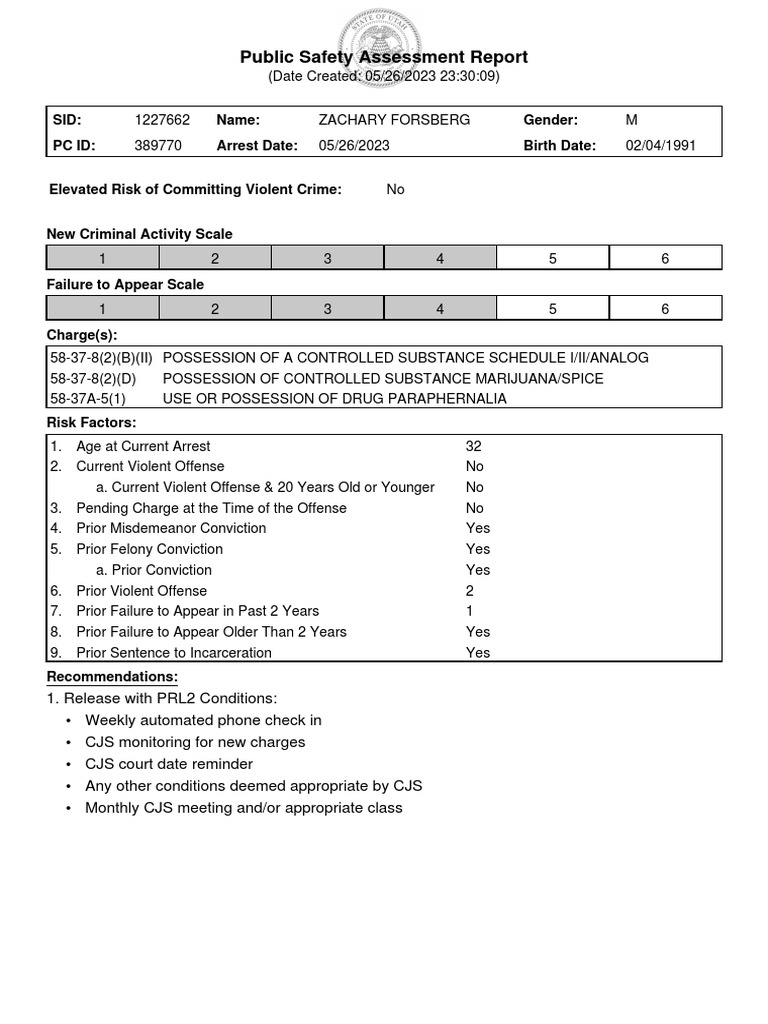 Public Safety Assessment Report | PDF | Prohibition Of Drugs | Felony