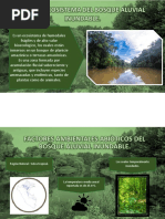 ECOSISTEMA BOSQUE COLINA BAJA Trabajo | PDF | Los bosques | Ciencias de ...
