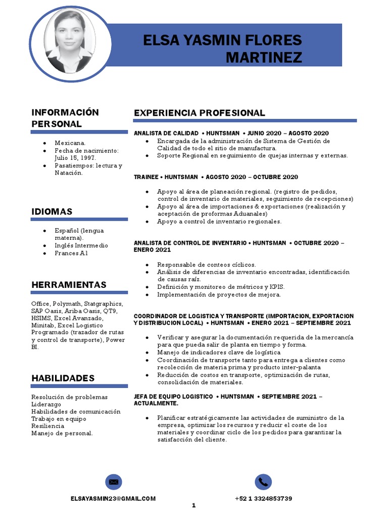 CV - Elsa Flores | PDF | Logística | Procesos de negocio