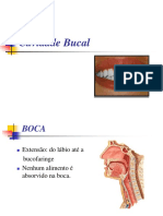 Cavidade+bucal 2