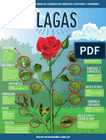 plagas_infografia