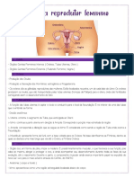 Sistema Reprodutor Feminino