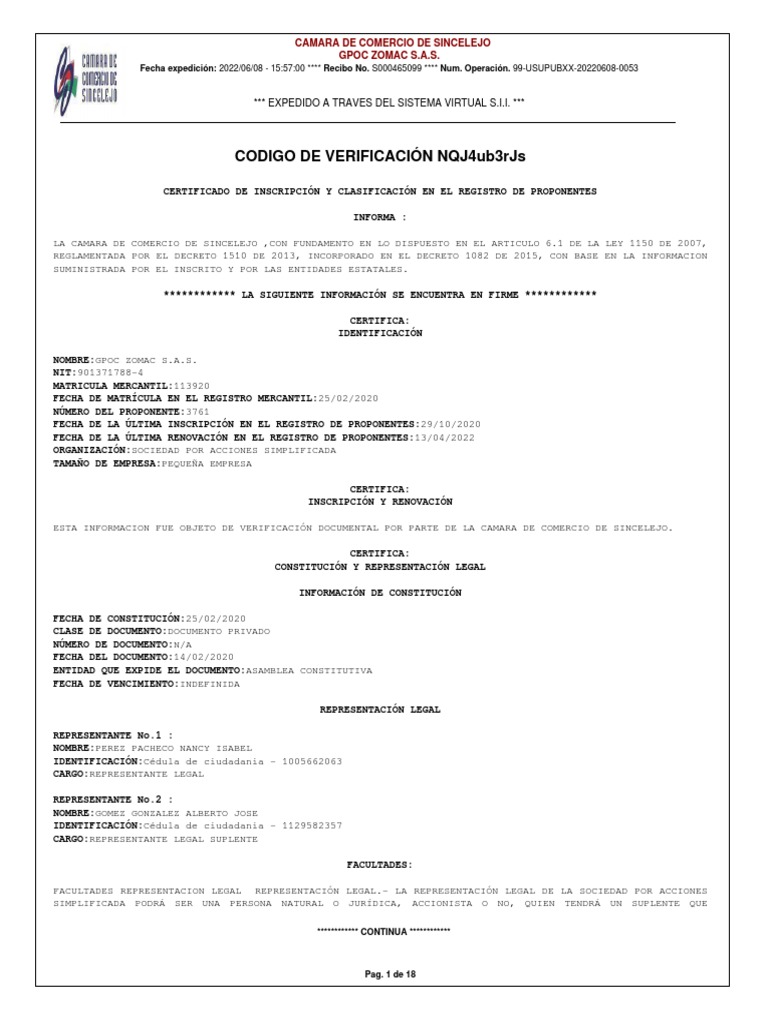 RUP GPOC ZOMAC SAS 08 JUNIO 2022 PDF Ingenieria Eléctrica Perforación