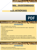 2 Ano - Zoologia - Artrópodes e Equinodermos PDF