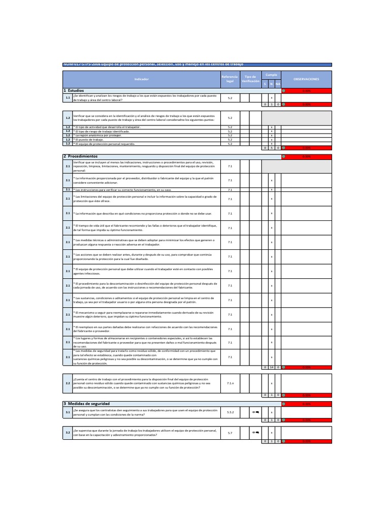 Copia De Auditoría Stps Nom 017 Stps 2008 Pdf