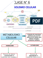 CLASE N 6 PPT