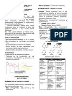 Resumen Acidos Nucleicos