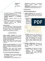 Resumen Biomoleculas II