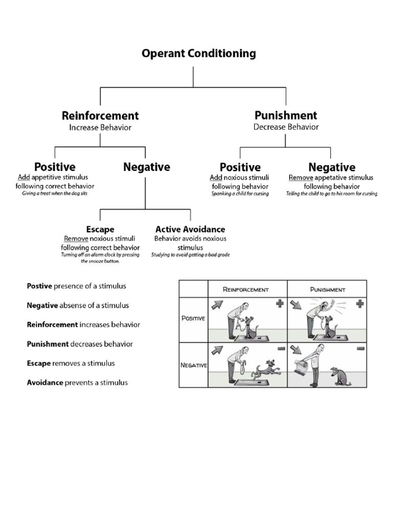 Operant Conditioning Explained Simple Examples Applications - 51uc2i7