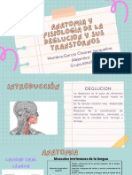 Anatomía de La Deglución 2