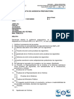 Acta de Audiencia Preparatoria Versión 01