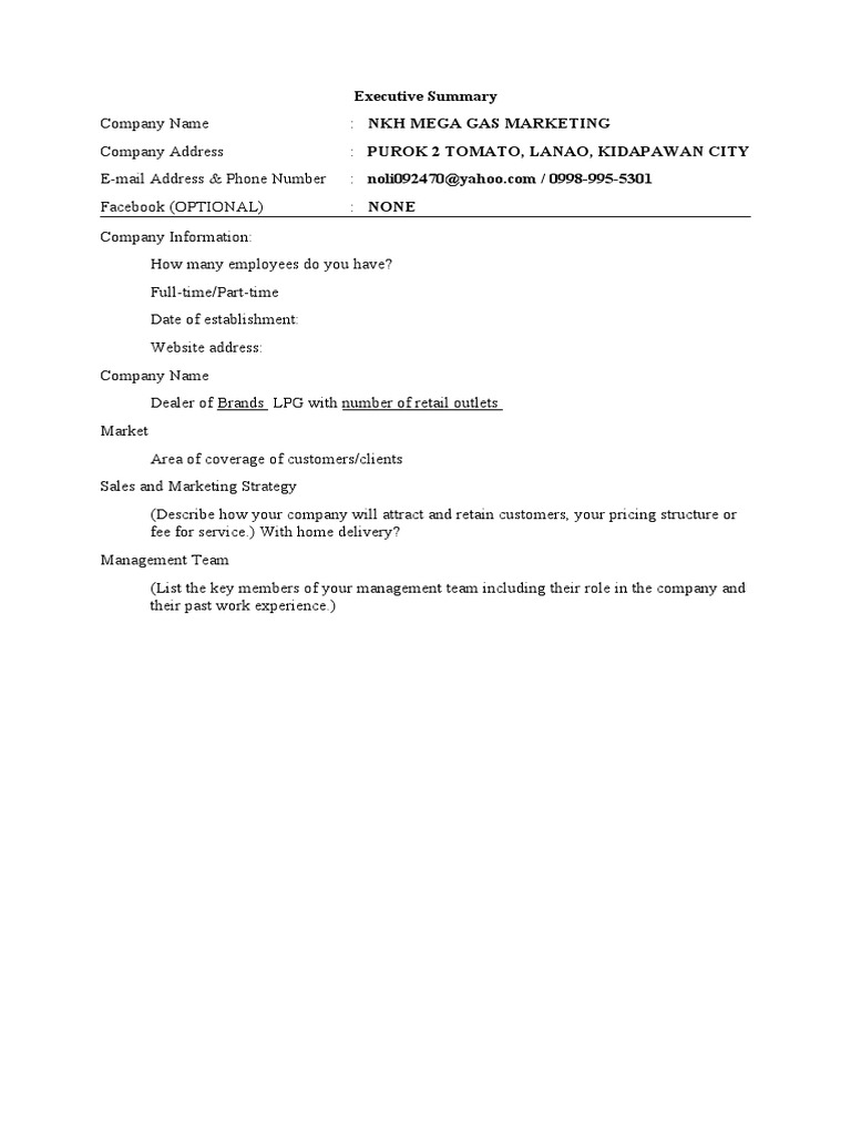 LPG Retail Operations Executive Summary | PDF | Business