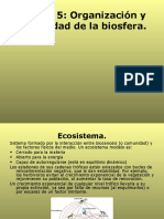 Unidad 5 Organizaci N y Diversidad de La Biosfera Sin Biomas 1486471633061