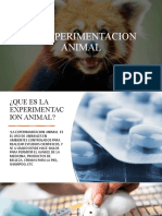 La Experimentacion Animal