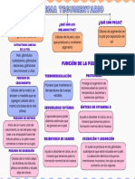 Sistema Tegumentario