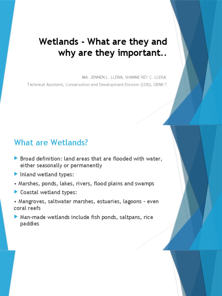 Wetlands What Are They and Why Are They Important PDF Wetland