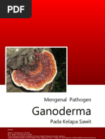 Download Mengenal Pathogen Ganoderma Pada Kelapa Sawit by Banny Iebam SN65462432 doc pdf