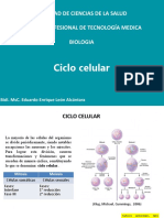 Ciclo Celular Tec Med