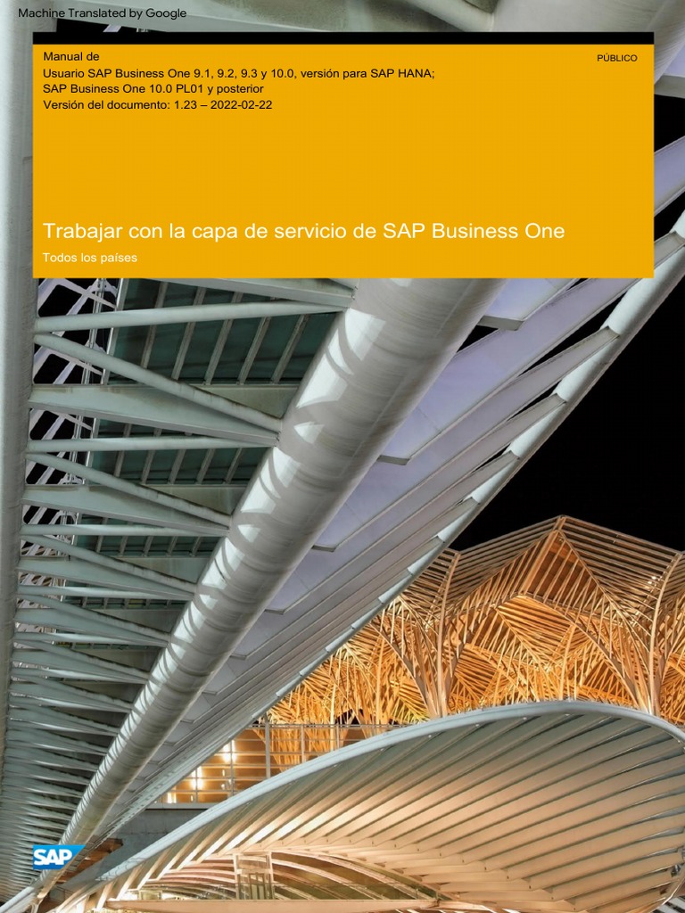 Guía de la Capa de Servicio SAP B1 | PDF | SQL | Script Java