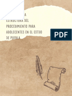 Sintesis de La Estructura Del Procedimiento para Adolecentes en El Estdo de Puebla