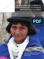 Derechos Personalidad Juridica Pueblos Indigenas