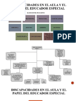 02 Diversas Discapacidades en El Aula y El Papel Del Educador Especial - Isaac Castillo