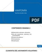 Ppt2-Via Corticoespinal