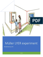 Muller Lyer Illusion