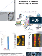 5 Metilacion y Ambiente