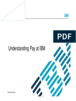 Compensation Program IBM