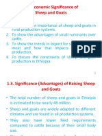 1.2. Economic Significance of Sheep and Goats