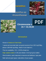 Amaranthus Theory Class
