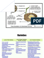 Lecture 5 Coconut