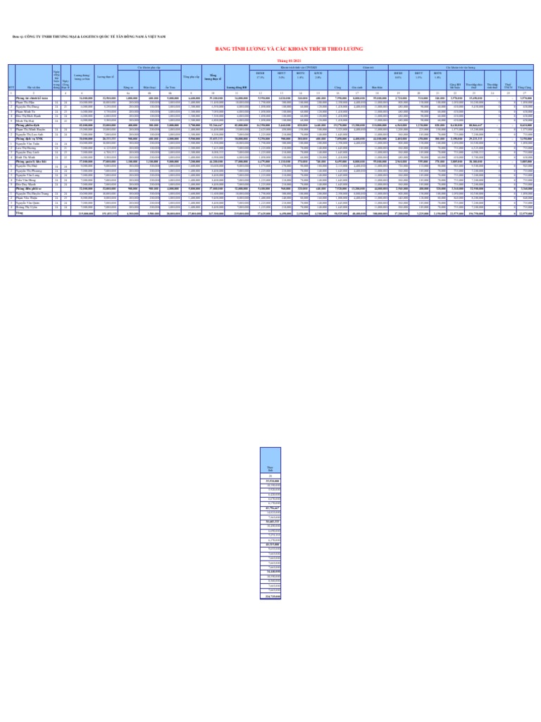 Mau bang luong tren excel pdf