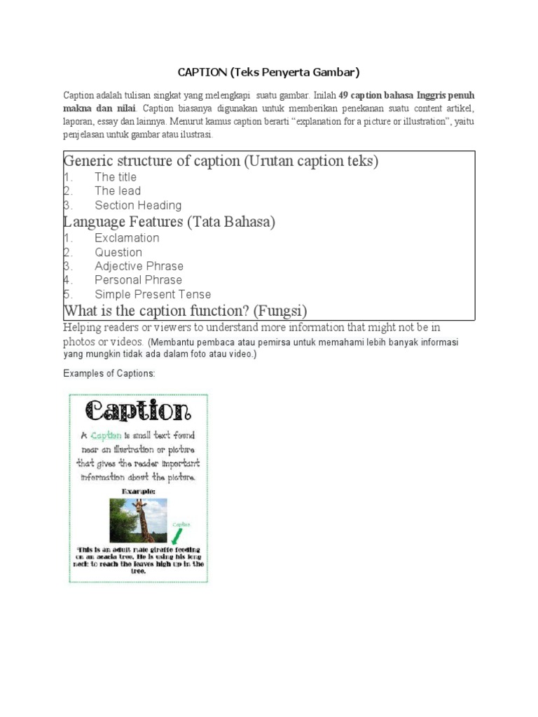 49 Meaningful English Captions Explained | PDF