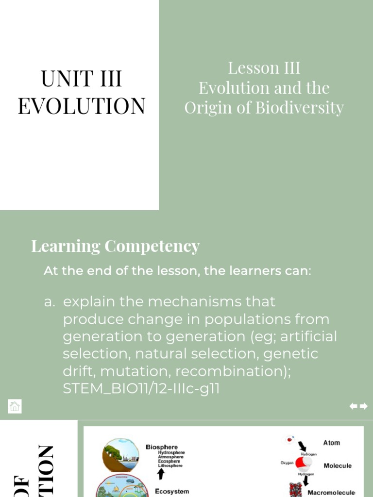 Lesson3 Evolution Sc Pdf Mutation Genetic Recombination