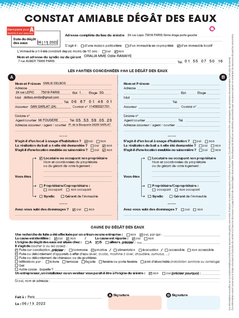 Constat Degat Des Eaux Partie A Emilie Delbos PDF