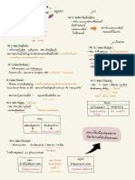 คสพ. ระหว่างประเทศ (อยุธยา)