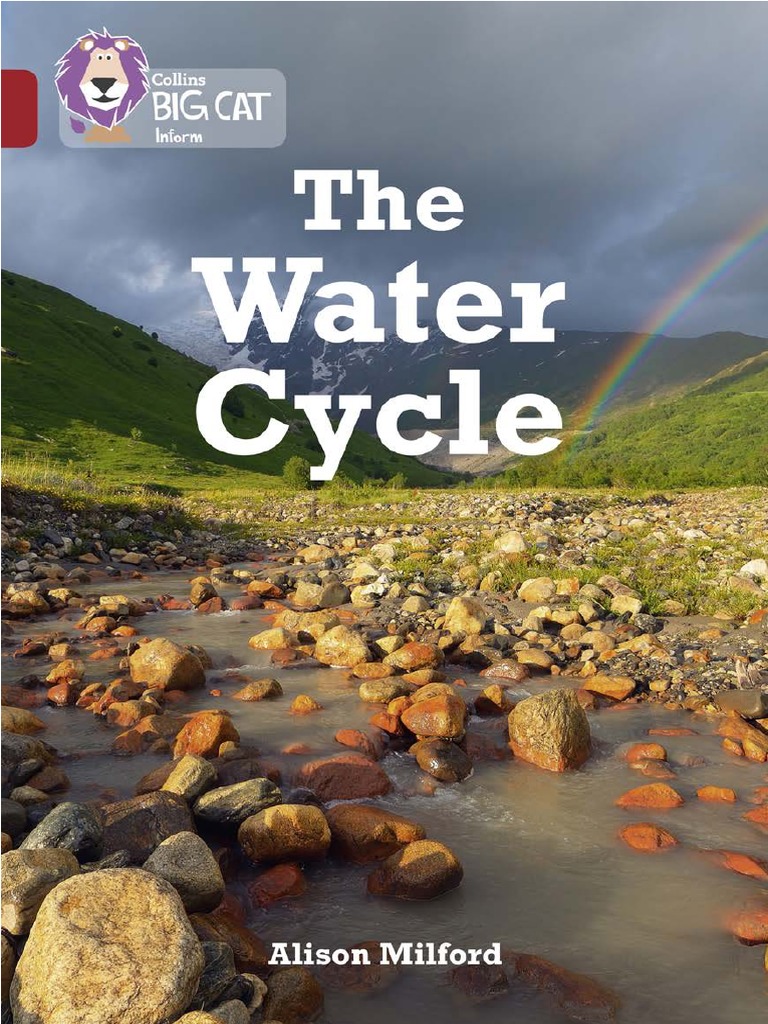 Understanding the Water Cycle | PDF