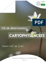Cordier J 2021 Cle Determination Flore CVL Caryophyllacees