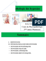 5 - Physiopathologie Des Hypoxies