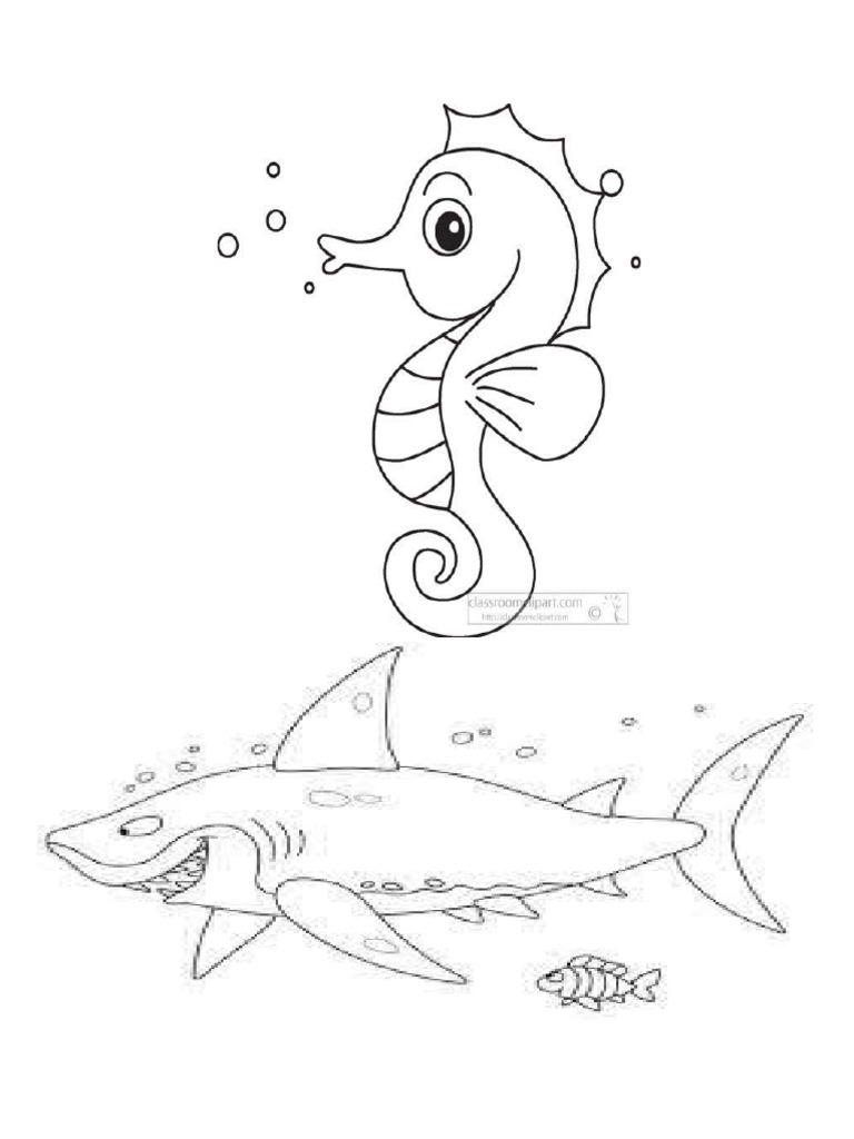 SHARKS' | PDF